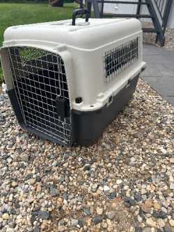 Dog Carrier