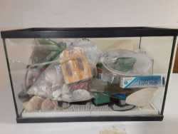Aquarium and supplies