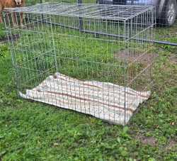 Large Dog Crate