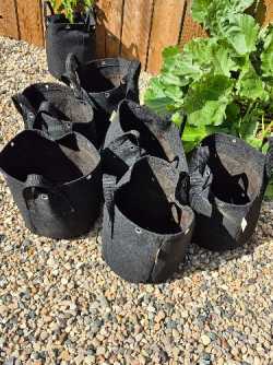Potatoe sacks